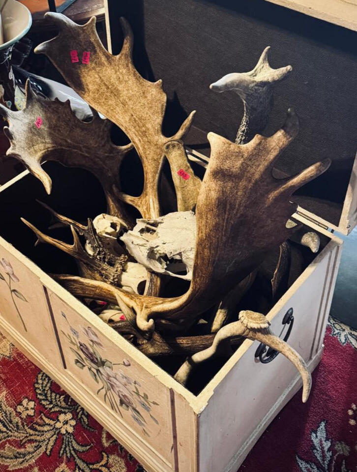 Antlers and Skulls and Stuff