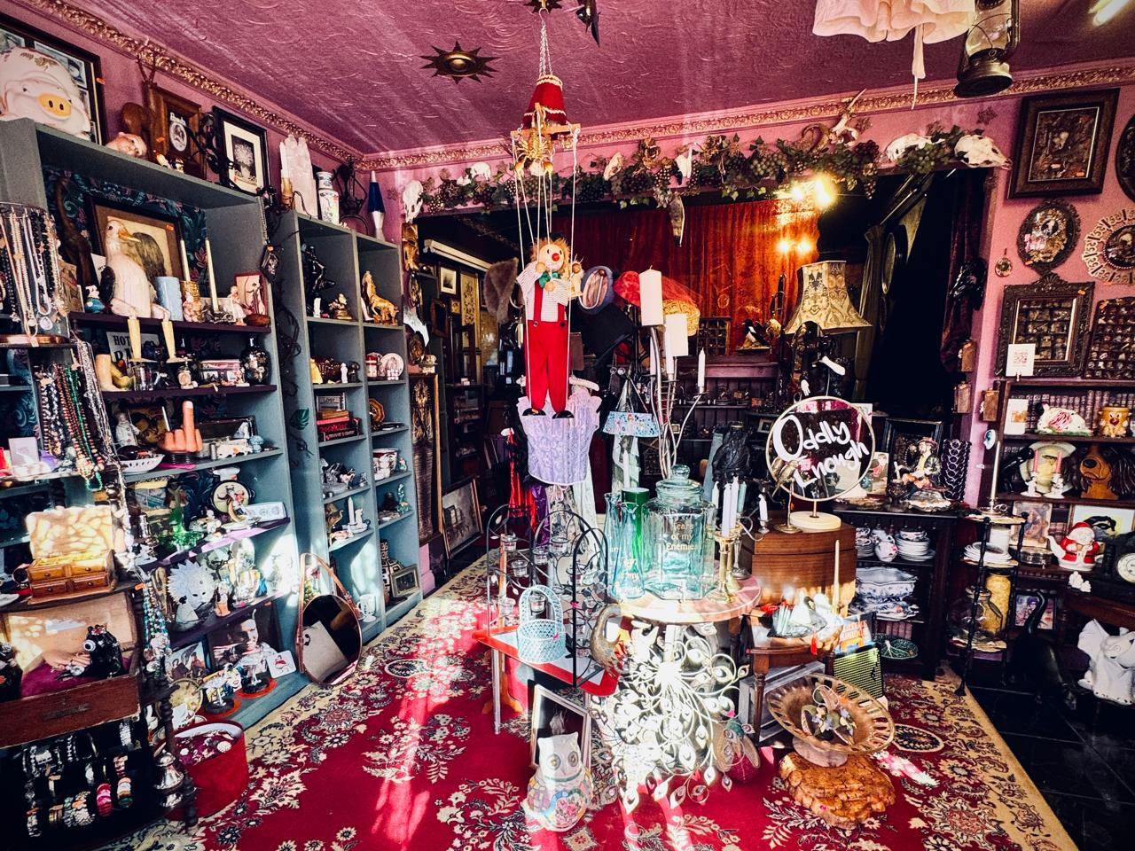 Rushden Oddity Shop